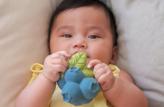 Oli & Carol Fruit & Veggie Teethers